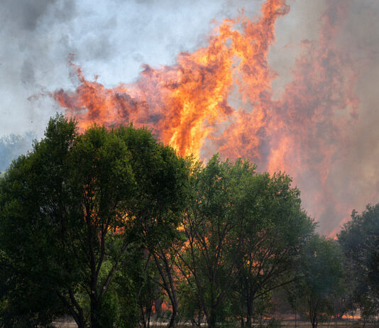 Wildfire Crisis Deepens in Spain, Emergency Declared