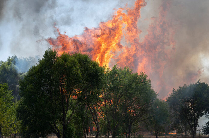 Ave Services Between Madrid And Barcelona Have Resumed Following The Disruption Caused By A Fire