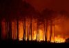 France Evacuates Tourists and Residents as Wildfires Spread Along Atlantic Coast