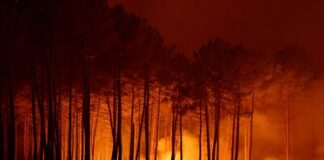 France Evacuates Tourists and Residents as Wildfires Spread Along Atlantic Coast