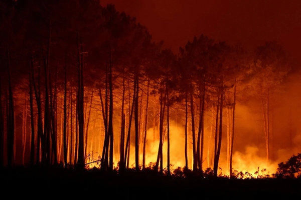 wild-fire (2)