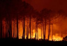 France Faces Severe Wildfire Crisis as Firefighters Battle Spreading Blaze