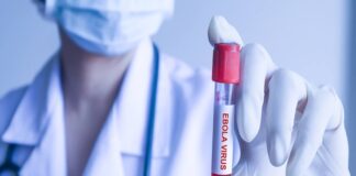 Congo Battles Deadly Ebola Outbreak as Death Toll Exceeds 2,000