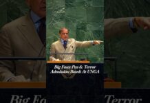 ‘Terrorists Would Be Roaming New York’: Shehbaz’s Remark Puts Pakistan’s Terror Record Under Spotlight