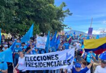 Venezuelan Protesters Press for Electoral Justice and Greater Political Freedoms